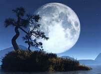 full moon w tree