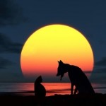 Full Moon