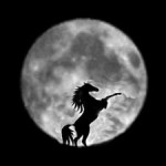 horse full moon